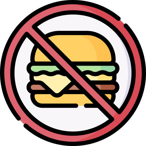 No food no eating no food no burger icon
