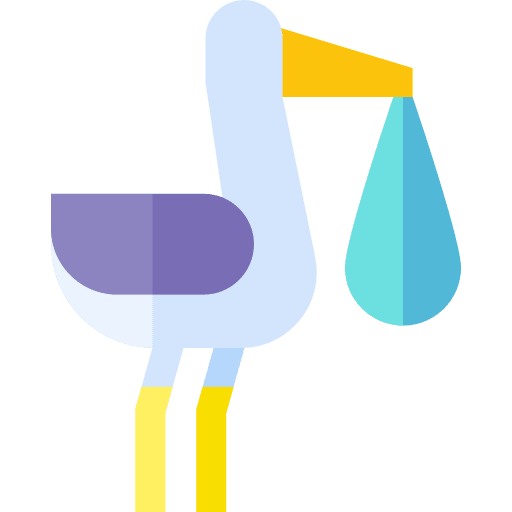 Stork newborn cultures kid and baby icon