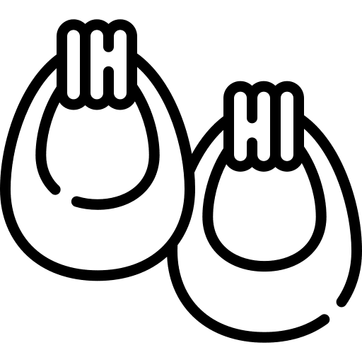 Earrings accessory jewelry earrings icon