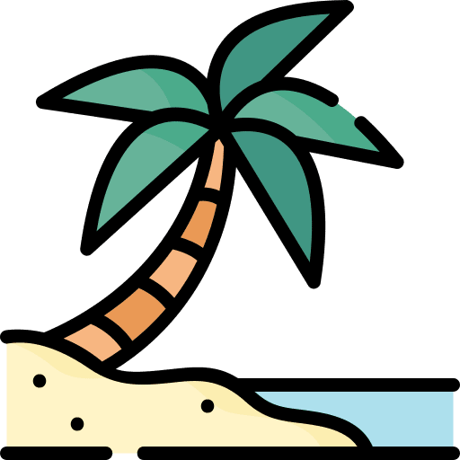 Beach tropical beach palm tree icon