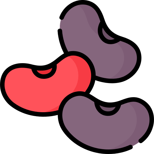 Beans organic diet beans icon