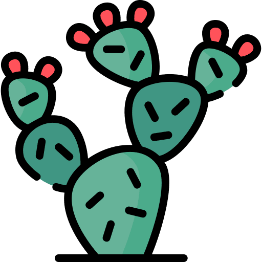 Nopal flower cactaceae cactus icon