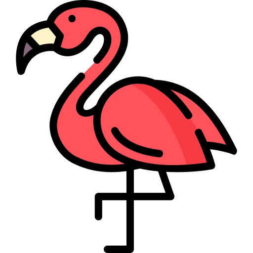 Flamingo bird wildlife animal kingdom icon