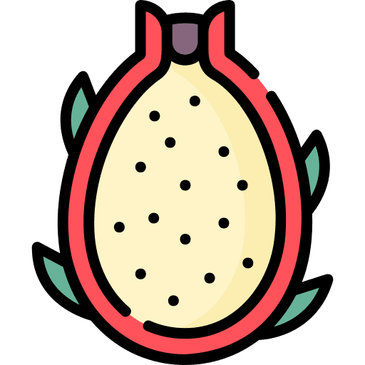 Pitaya pitaya food and restaurant healthy food icon