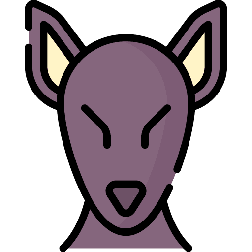 Xolo animals mammal mexican hairless dog icon