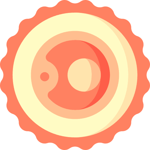Ovum human body ovum pregnancy icon
