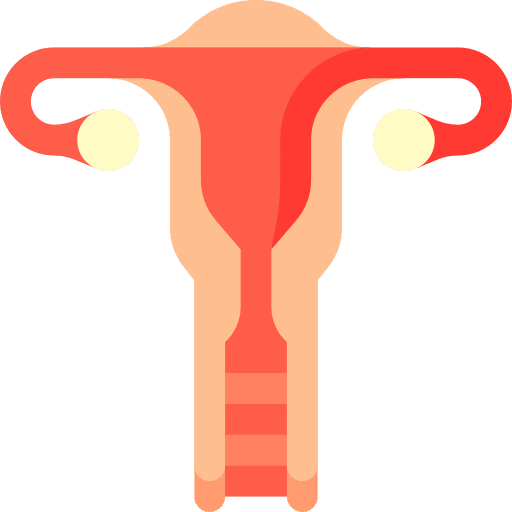 Reproductive system anatomy healthcare and medical ovaries icon
