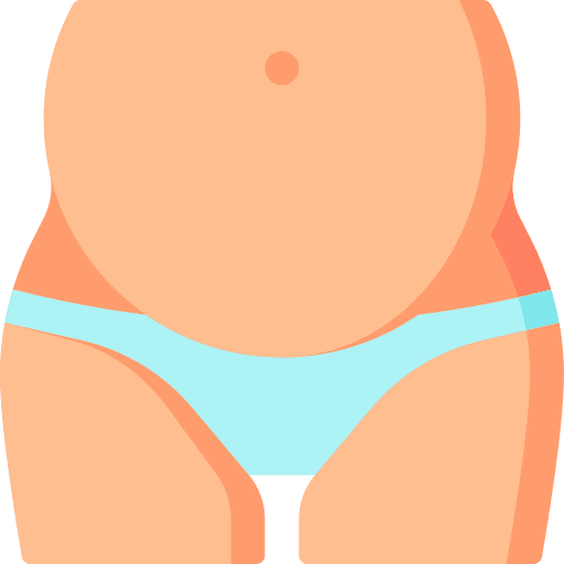 Pregnancy mother healthcare and medical pregnant icon