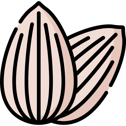 Almond dried fruit vegan organic icon