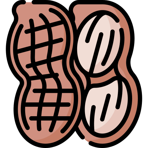 Peanut nut vegan vegetarian icon