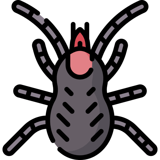 Mite bite flea bug icon