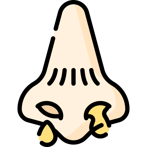 Runny nose symptom mucus cold icon