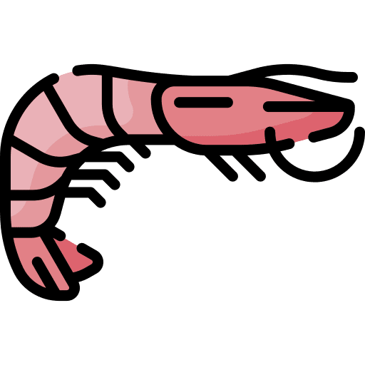 Shrimp shrimp wild life sea life icon