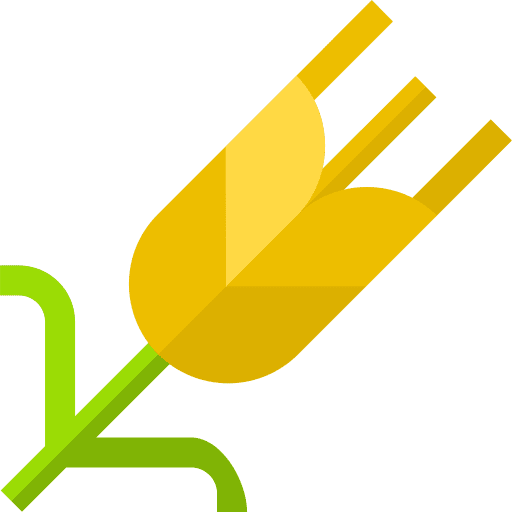 Gluten nature branch wheat icon