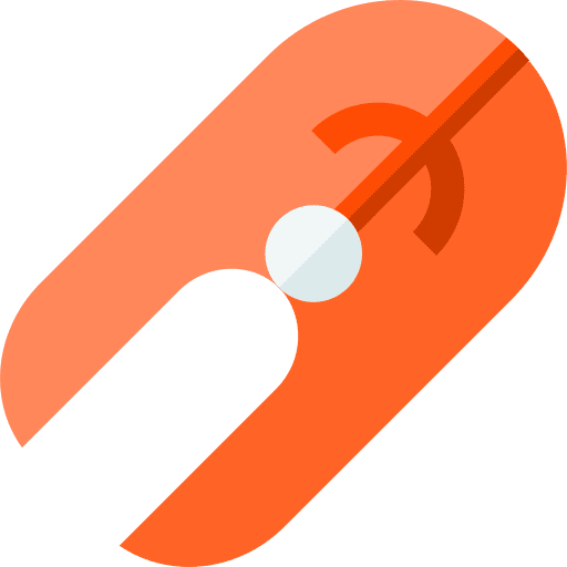 Salmon slice salmon seafood icon