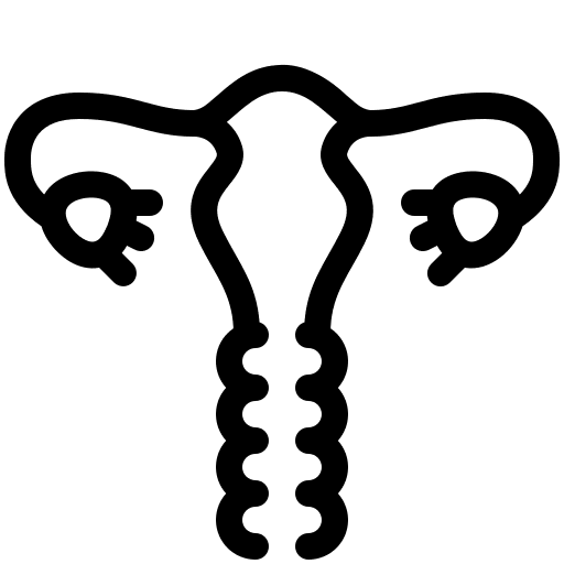 Ovary medical ovary female organs icon