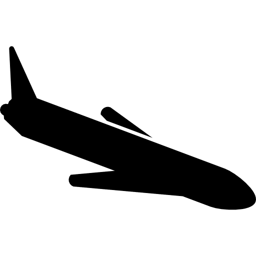 Landing airplane transport airplane silhouette icon