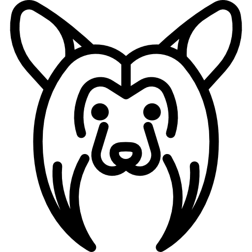 Chinese crested breed pet animals icon