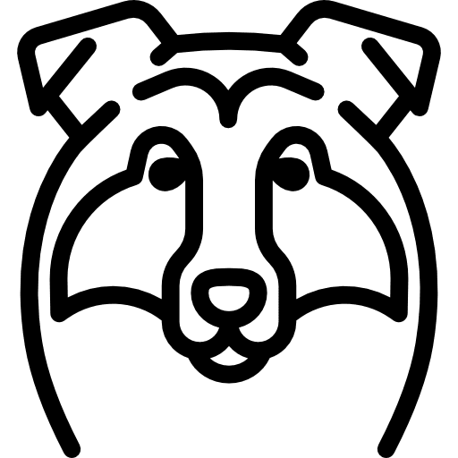 Collie animals pet breed icon