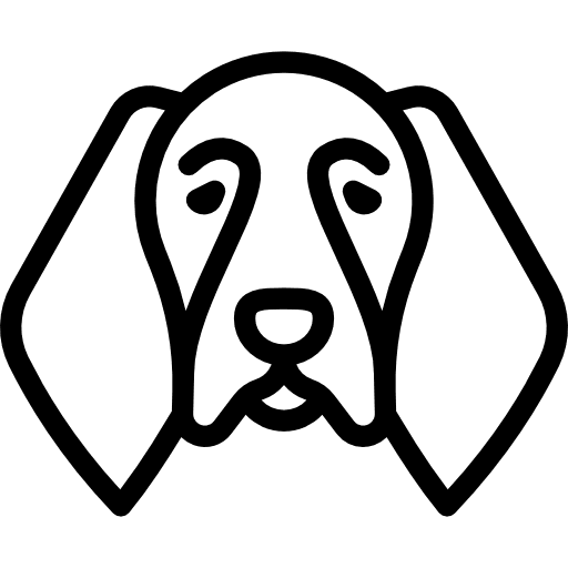 German shorthaired pointer pet animals dog icon