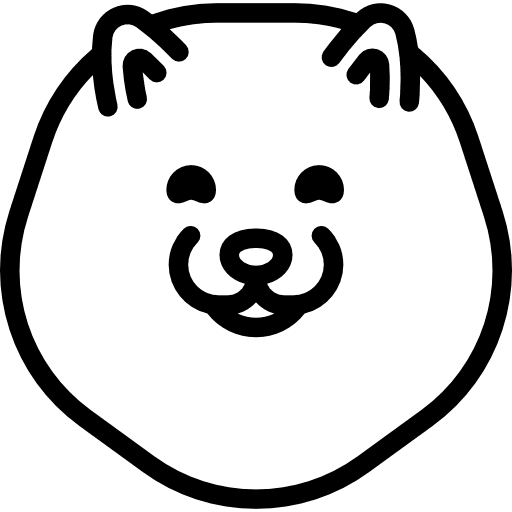 Pomeranian breed animal animals icon
