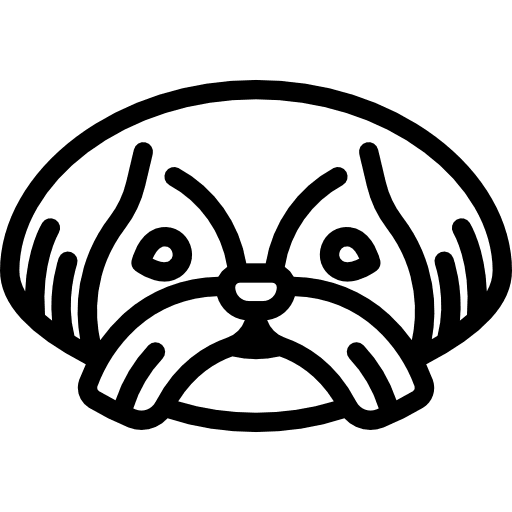 Shih tzu animal dog breed icon