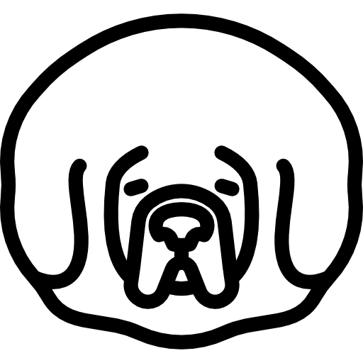 Tibetan mastiff breed animal animals icon