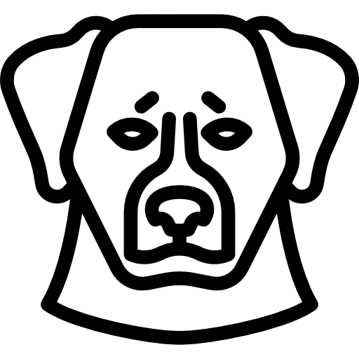 Bernese mountain dog dog animals animal icon