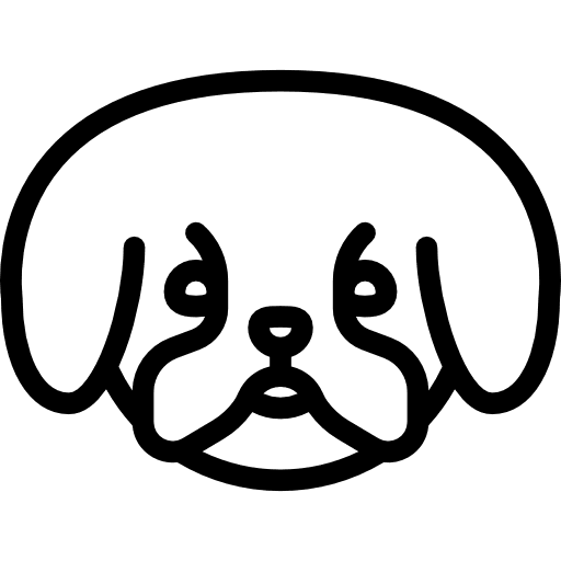 Bichon breed animal pet icon