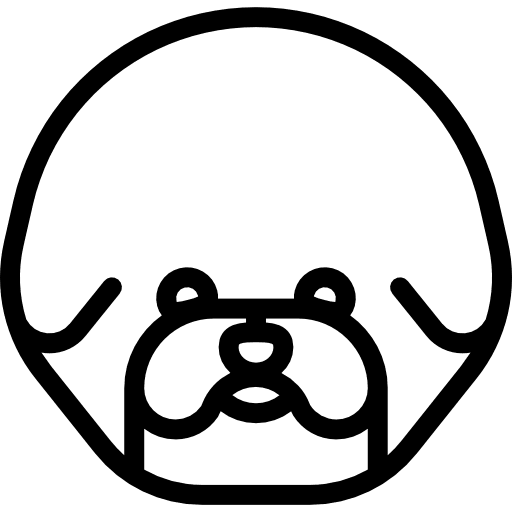 Bichon frise pet dog animals icon