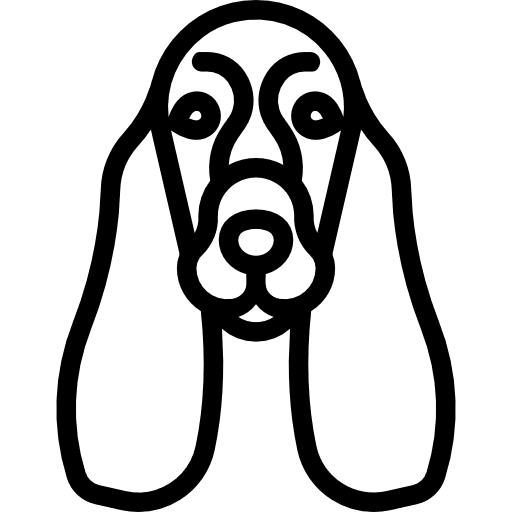 English cocker spaniel mammal animal dog icon