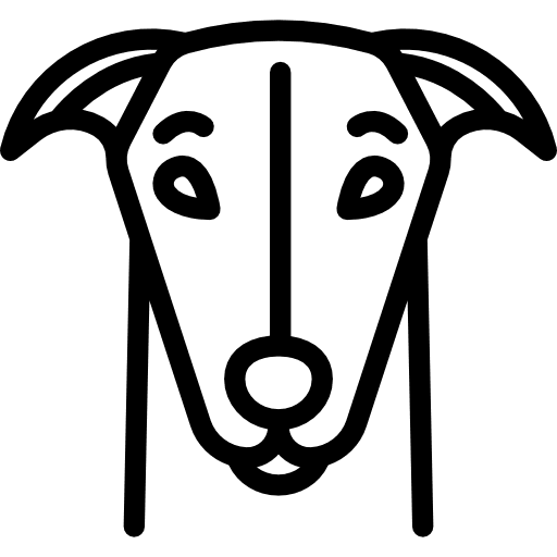 Greyhound animals pet animal icon
