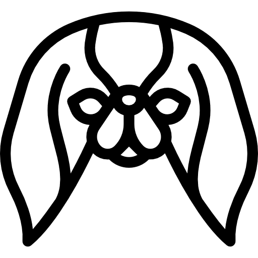 Japanese chin pet breed animals icon