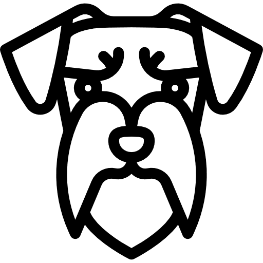 Miniature schnauzer pet dog animals icon