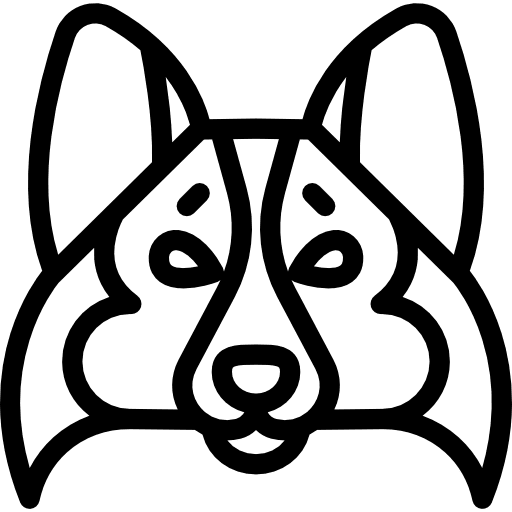 Shetland sheepdog pet animals mammal icon