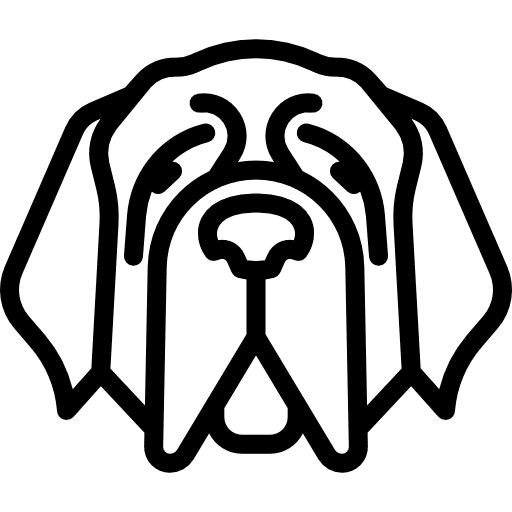 St bernard breed mammal animal icon