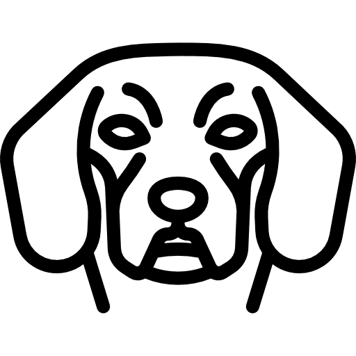 Beagle mammal breed animals icon