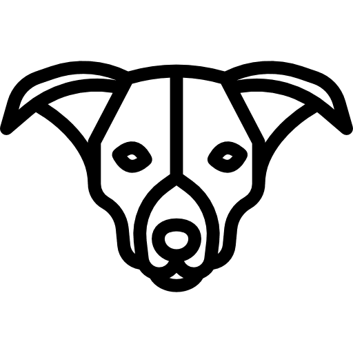 Border collie mammal pet breed icon