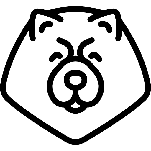 Chow chow breed animal mammal icon