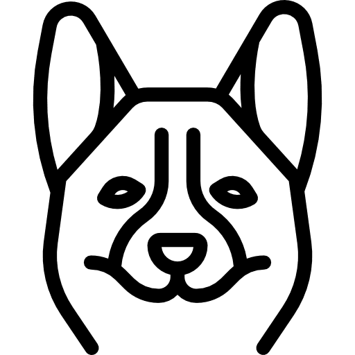 Corgi animal breed pet icon
