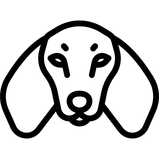 Dachshund animal mammal pet icon