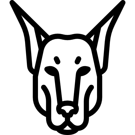 Doberman animal pet dog icon