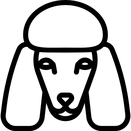 Poodle dog breed animals icon