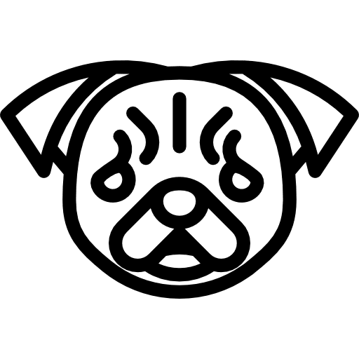 Pug pet animal breed icon
