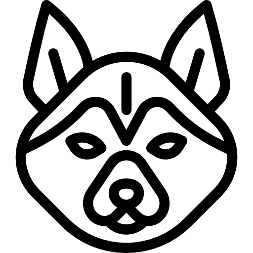 Siberian husky breed animals pet icon