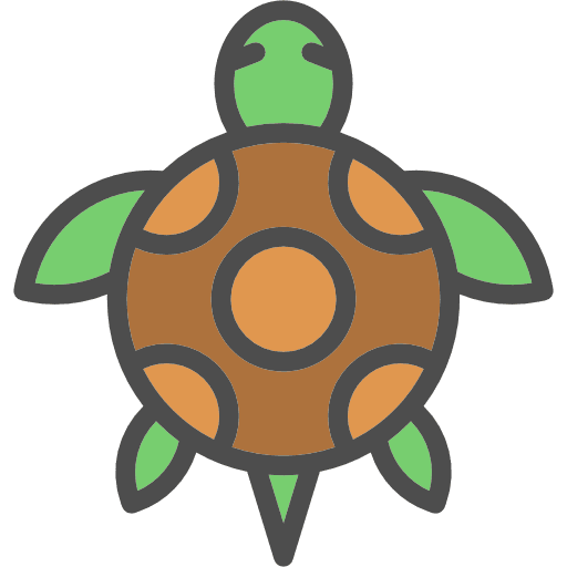 Tortoise animals reptile tortoise icon
