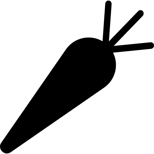 Carrot vegetarian carrot organic icon