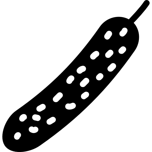 Cucumber food fruit healthy food icon