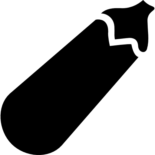 Eggplant vegetable healthy food food icon