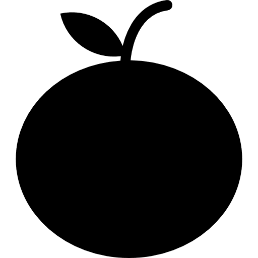 Orange vegetarian vegan food icon